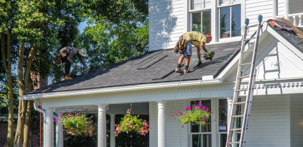 Best Roof Gutter Cleaning  in Eastport, NY